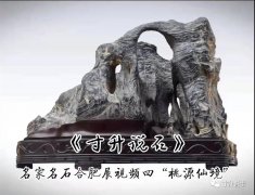 《寸升说事》2021年我的关键词：赏石有乐