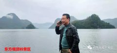 赏石迎春•寅虎贺岁 （组图）