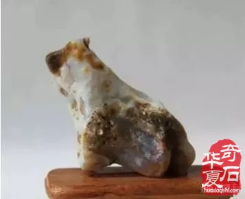 升值最快的石头是哪些知道吗