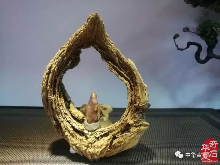 点击进入看图评论 奇石市场才是最好的玩石学堂