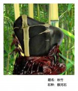 石情石意：扬额河石之魂 图