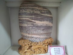 黄河滩上一颗耀眼的赏石明珠 图