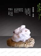 看《于公赏石》名家谈石论道增知识开眼界