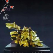赏石界玩石头的人的目的是什么