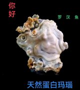 不一样的赏石理念会有不一样的结果