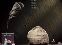 奇石收藏就应该这么选 这么玩