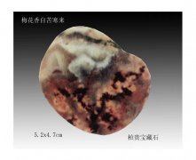 雨花石上寄哀思 图