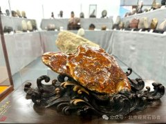 到洛阳奇石古玩文化城看大型石展赏精品美石