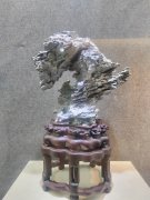弘扬赏石文化不遗余力累并快乐的一群人