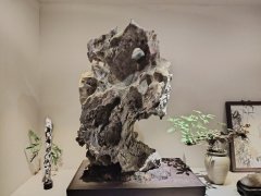 云林山馆美石藏品带给人们美的享受