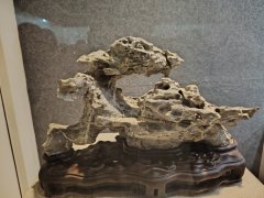 传统赏石鉴藏研习走进英石之乡《英德博物馆》