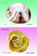 爱赏石的我不用扬鞭自奋蹄