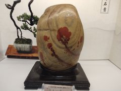 庆八一兰州石博会举行盛大别开生面的晚宴