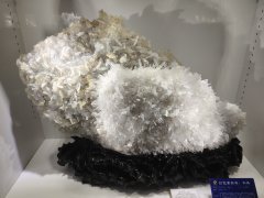 旺鼎石文化博览园·汉魏文玩区盛大开业庆典