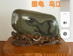 令人匪夷所思的奇石水墨画——墨龟