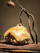 首届长三角赏石艺术联盟•中国环太湖艺术城联展