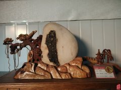 首届长三角赏石艺术联盟•中国环太湖艺术城联展盛大开幕