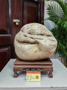 中国·石家庄第十九届观赏石博览会隆重开幕