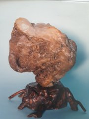 頤石齋王克文撰文-——文  靜  古  雅 