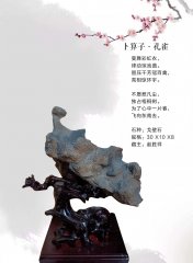 《于公赏石》带你便捷浏览石界