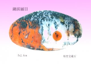 开创玩石新天地，收藏愉悦好心情 