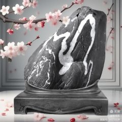 石缘也 天降“龍”石