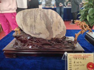2025中国（蚌埠）第四届赏石玉器文化博览会暨【禹王杯】精品展开幕