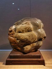 奇石界的“暗流涌动”：奖杯背后的真相与呼唤 