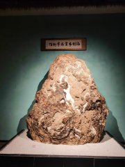石界著名藏家马金悦与《涿州市赏石艺术馆》