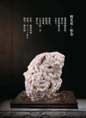《于公赏石》盛赞石友云集的赏石盛会嗨翻初夏