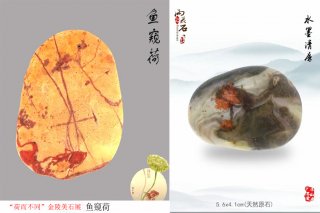 富有创意的“荷而不同”金陵美石展