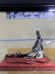 2025年第十六届中国新疆（国际）观赏石博览会盛大开幕
