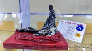 第十六届新疆石博会精品展特等奖权威发布