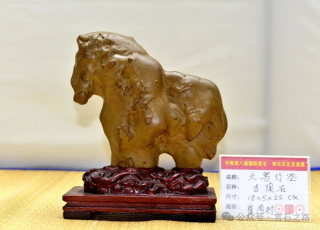 能随赏石活动走出国门今生无憾