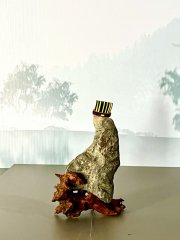 史伟民：石说【第八届“铁荷”主题大赛征文】