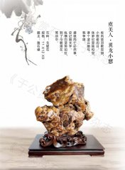 《于公赏石》介绍中石协秘书长曹毅然兰州调研