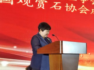 中国观赏石协会成立20周年庆典活动