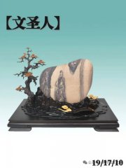 伊川【石友之家】共享石馆启动