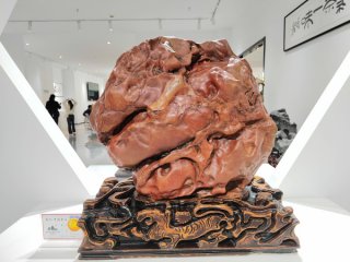 贵州中深“三开一展”活动隆重热烈不同凡响