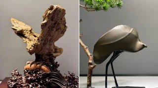 东阳赏石军团赴杭逛展淘宝载誉而归