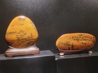 2025柳州海川首届嘉年华“中华石都”奇石博览会盛大开幕