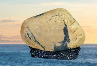 石不可挡聚势羊城！2025广佛诚邀老藏家精品免费参展