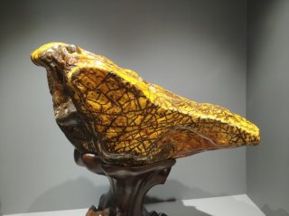 中华石都柳州名家名石馆隆重开馆