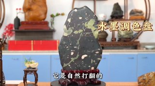 石上荷花的景致恰是自然的妙笔 图