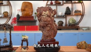 戈壁风骨石中生泉风沙磨蚀出的沧桑