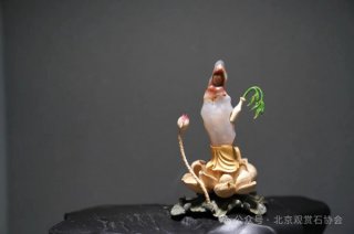 2026海南三亚观赏石博览会即将闪耀启幕