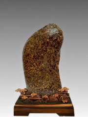 老伴陪我玩石头晚年生活优雅惬意 图