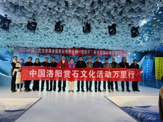 武功首届全国赏石博览会暨“老院子”杯全国赏石精品奇石展欢迎晚宴