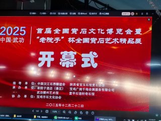 2025中国武功首届赏石文化博览会暨首届“老院子杯”全国赏石艺术精品展隆重开幕