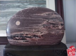 杭州市观赏石协会中石协黄蜡石专委会新春年会圆满举行